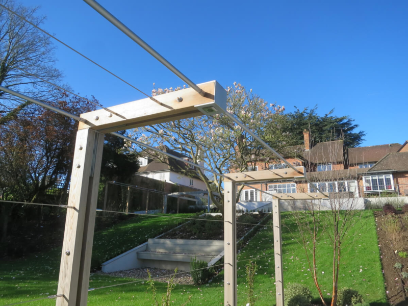 Modern Garden in Gerrards Cross Ornamental Garden Lighting