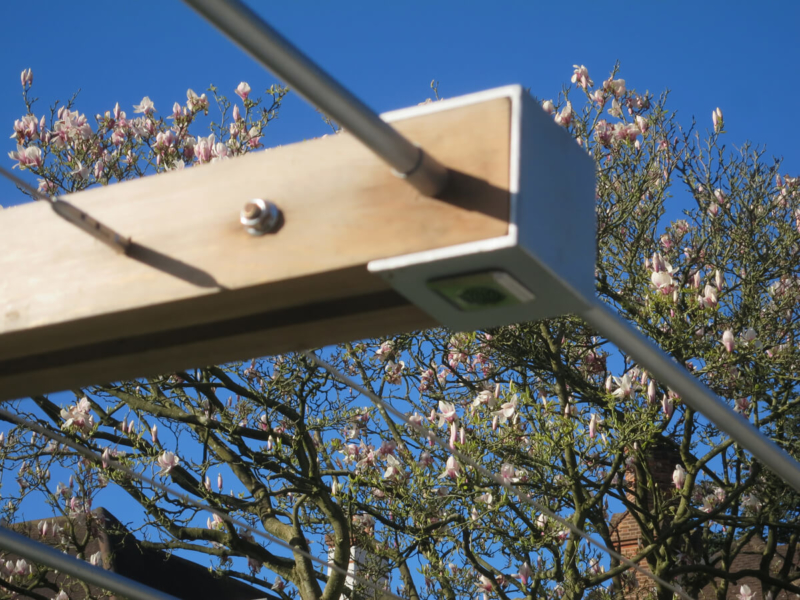 Modern Garden in Gerrards Cross Ornamental Garden Lighting