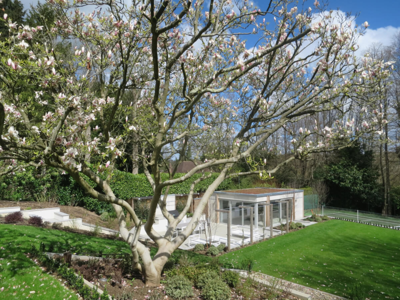 Modern Garden in Gerrards Cross Ornamental Garden Lighting